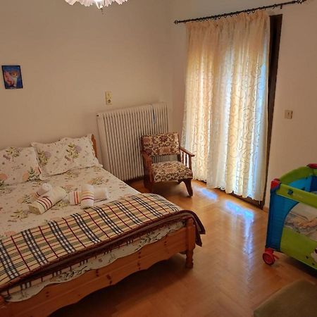 With A View Of Meteora Apartment Diava ภายนอก รูปภาพ