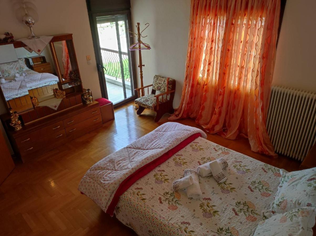 With A View Of Meteora Apartment Diava ภายนอก รูปภาพ
