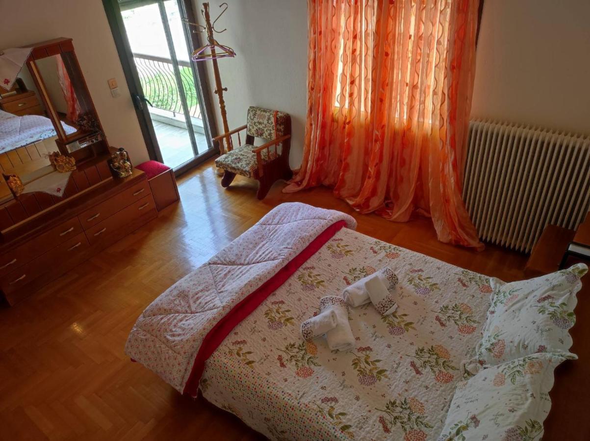 With A View Of Meteora Apartment Diava ภายนอก รูปภาพ