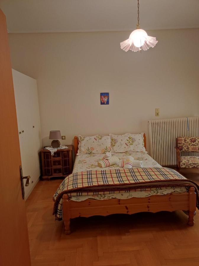 With A View Of Meteora Apartment Diava ภายนอก รูปภาพ