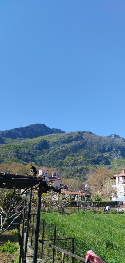 With A View Of Meteora Apartment Diava ภายนอก รูปภาพ