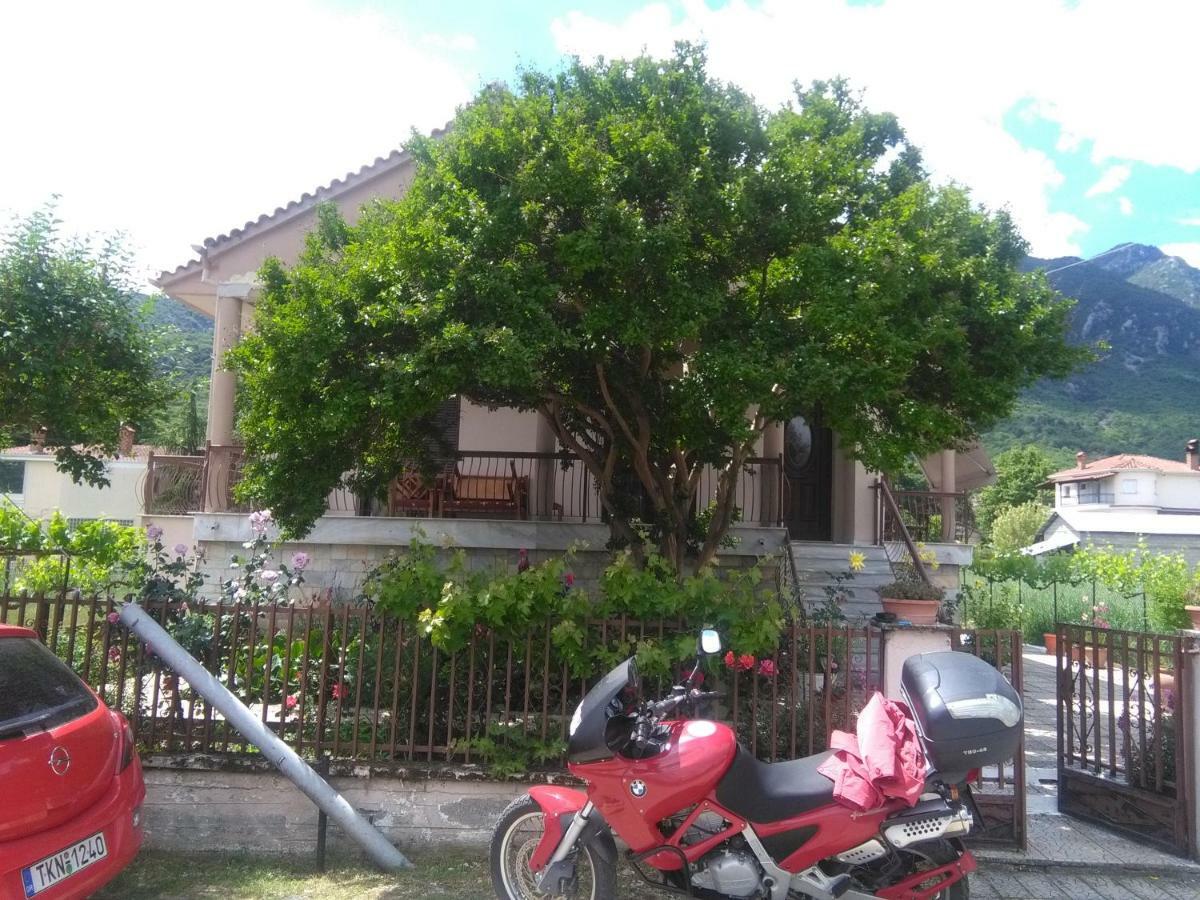 With A View Of Meteora Apartment Diava ภายนอก รูปภาพ