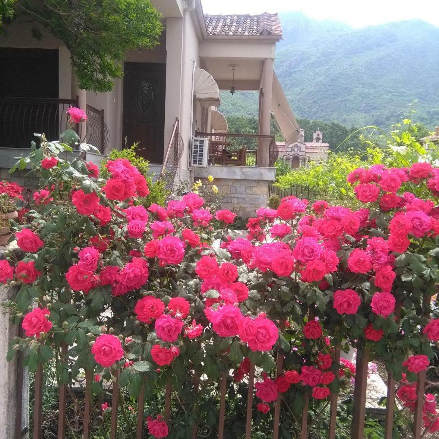 With A View Of Meteora Apartment Diava ภายนอก รูปภาพ