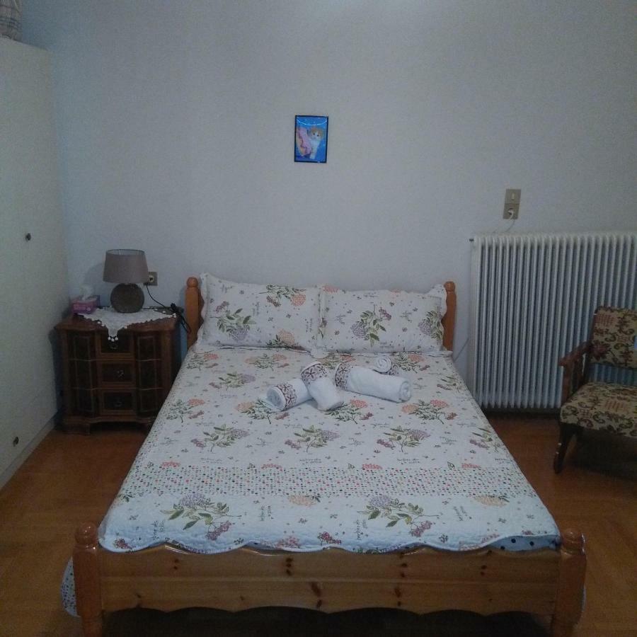 With A View Of Meteora Apartment Diava ภายนอก รูปภาพ