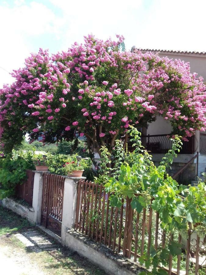 With A View Of Meteora Apartment Diava ภายนอก รูปภาพ