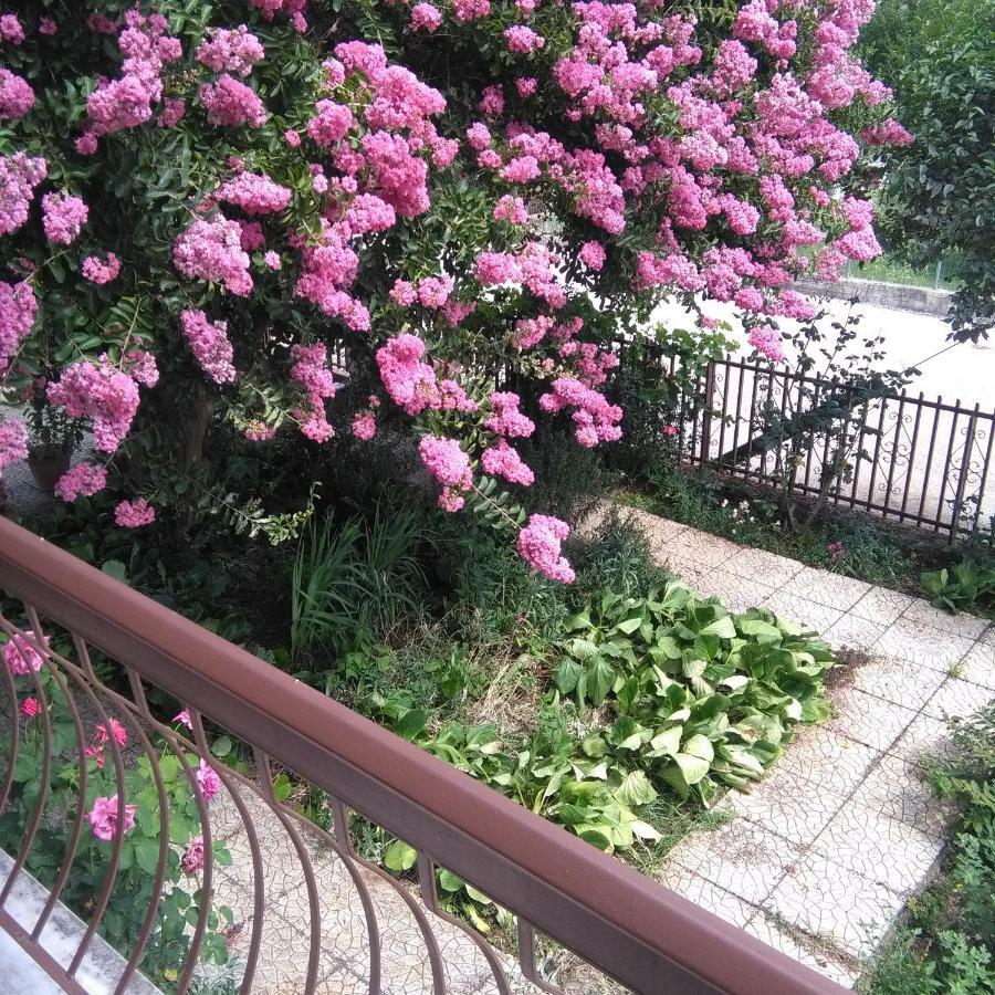 With A View Of Meteora Apartment Diava ภายนอก รูปภาพ